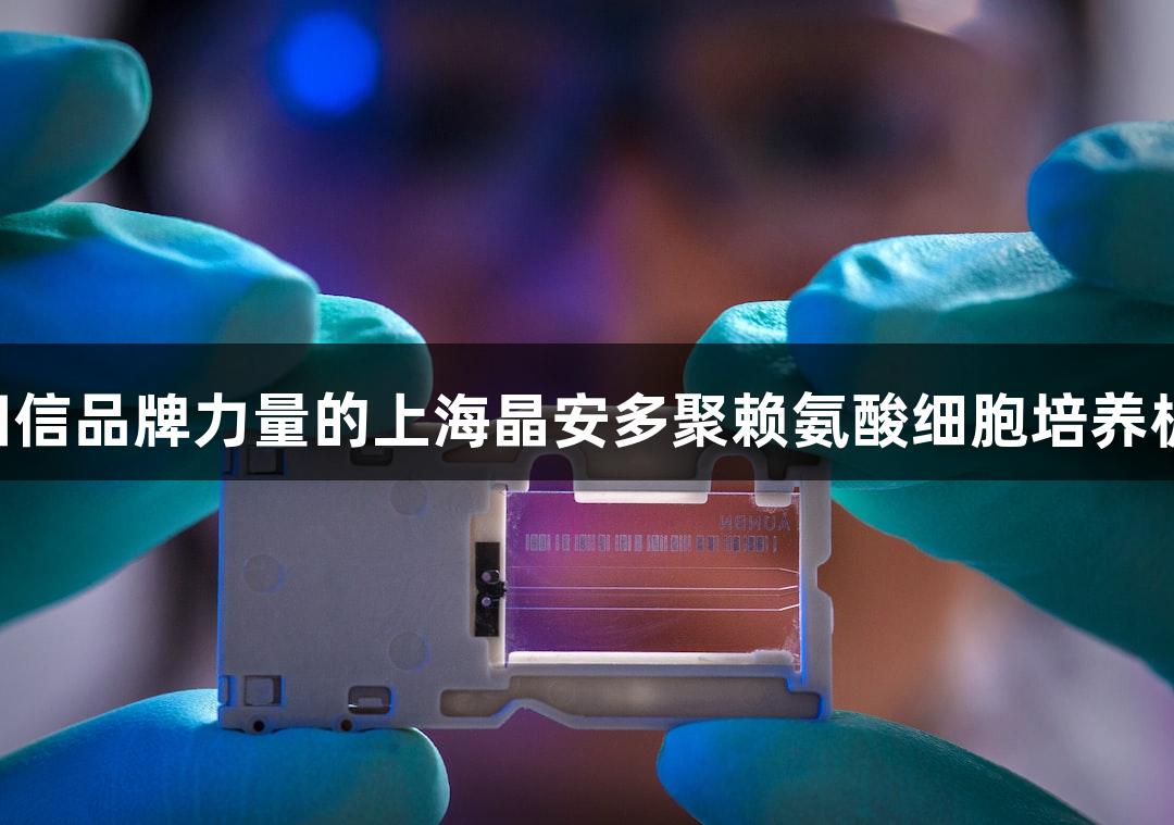 南宫28NG相信品牌力量的上海晶安多聚赖氨酸细胞培养板 6孔24mm