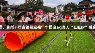 犬为媒，贵州下司古镇萌宠嘉年华揭晓ag真人“旺旺IP”融合密码