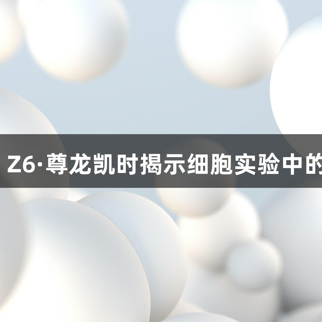支原体检测：Z6·尊龙凯时揭示细胞实验中的“隐形杀手”