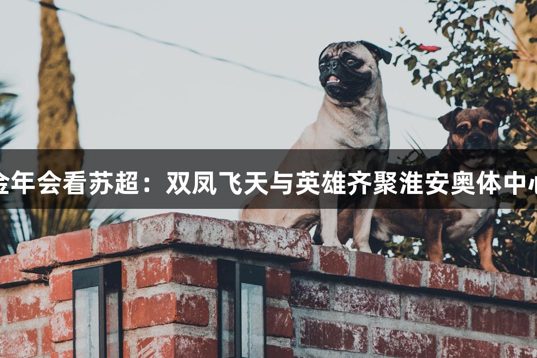 金年会看苏超：双凤飞天与英雄齐聚淮安奥体中心