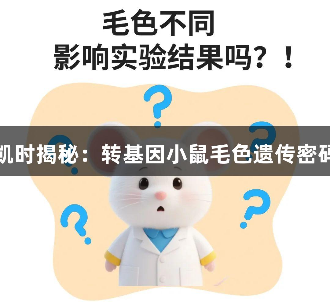 尊龙凯时揭秘：转基因小鼠毛色遗传密码解析