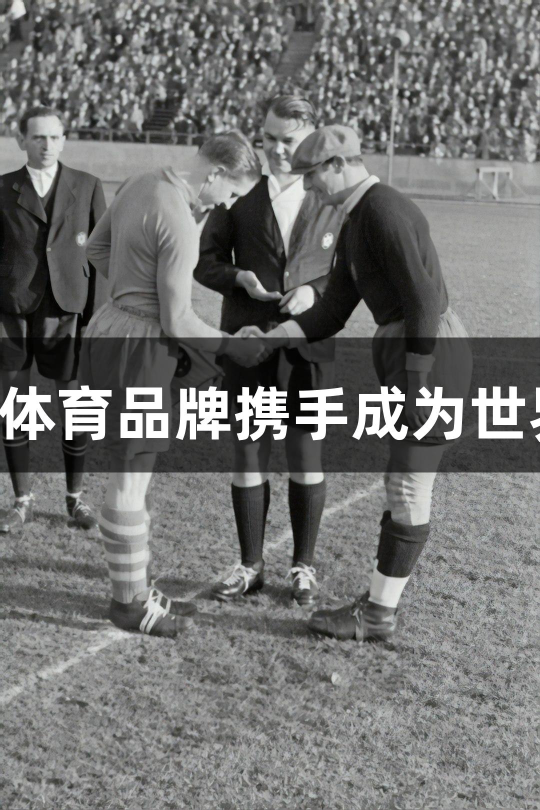 Z6·尊龙凯时与福建体育品牌携手成为世界泳联全球合作伙伴