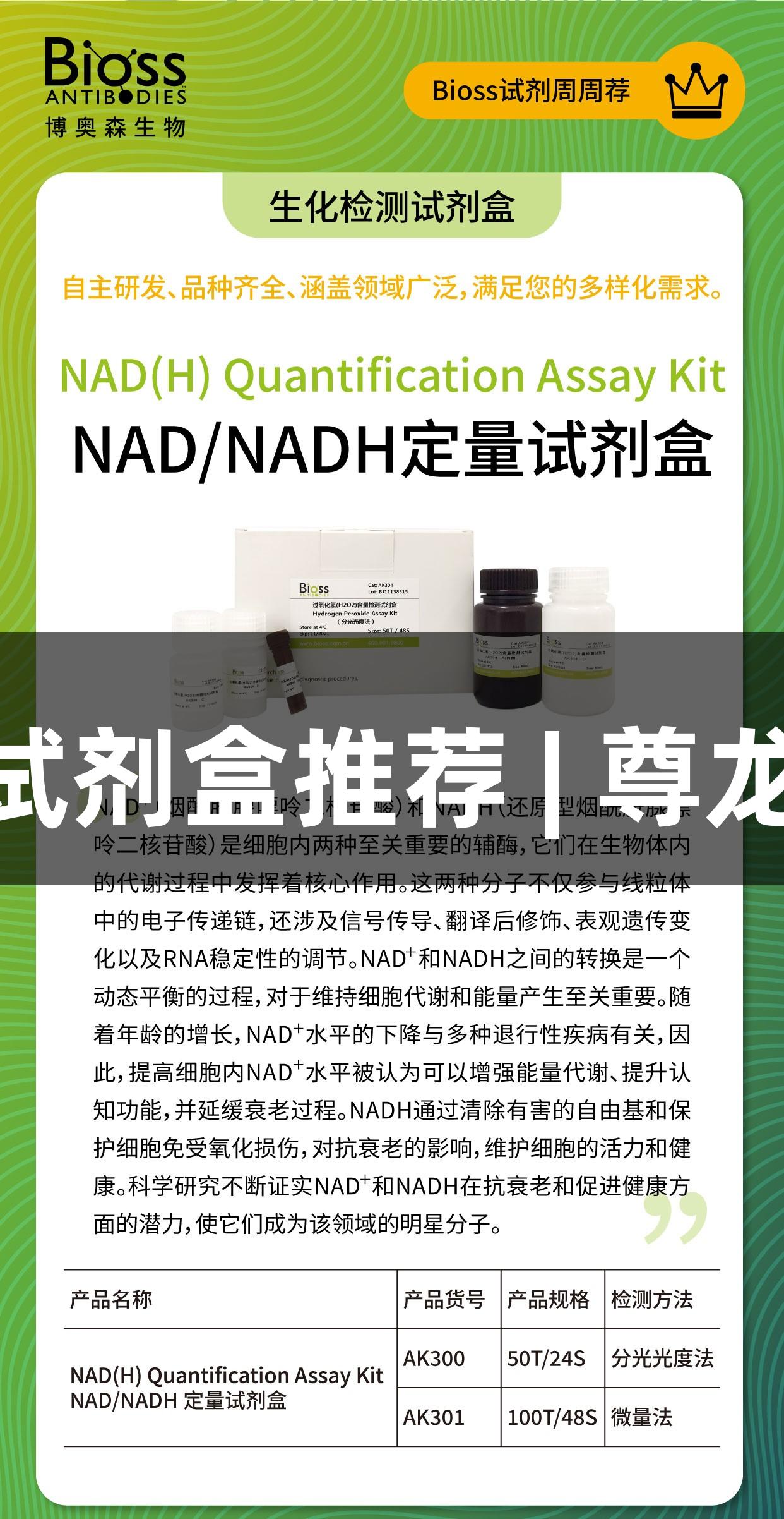 NAD/NADH定量试剂盒推荐 | 尊龙凯时生物医疗产品