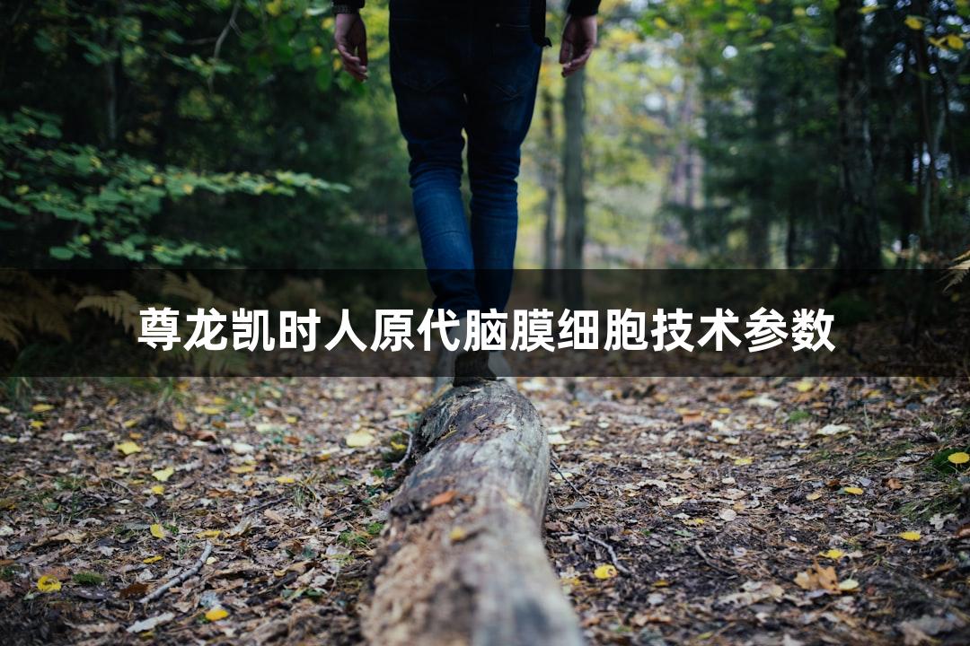 尊龙凯时人原代脑膜细胞技术参数