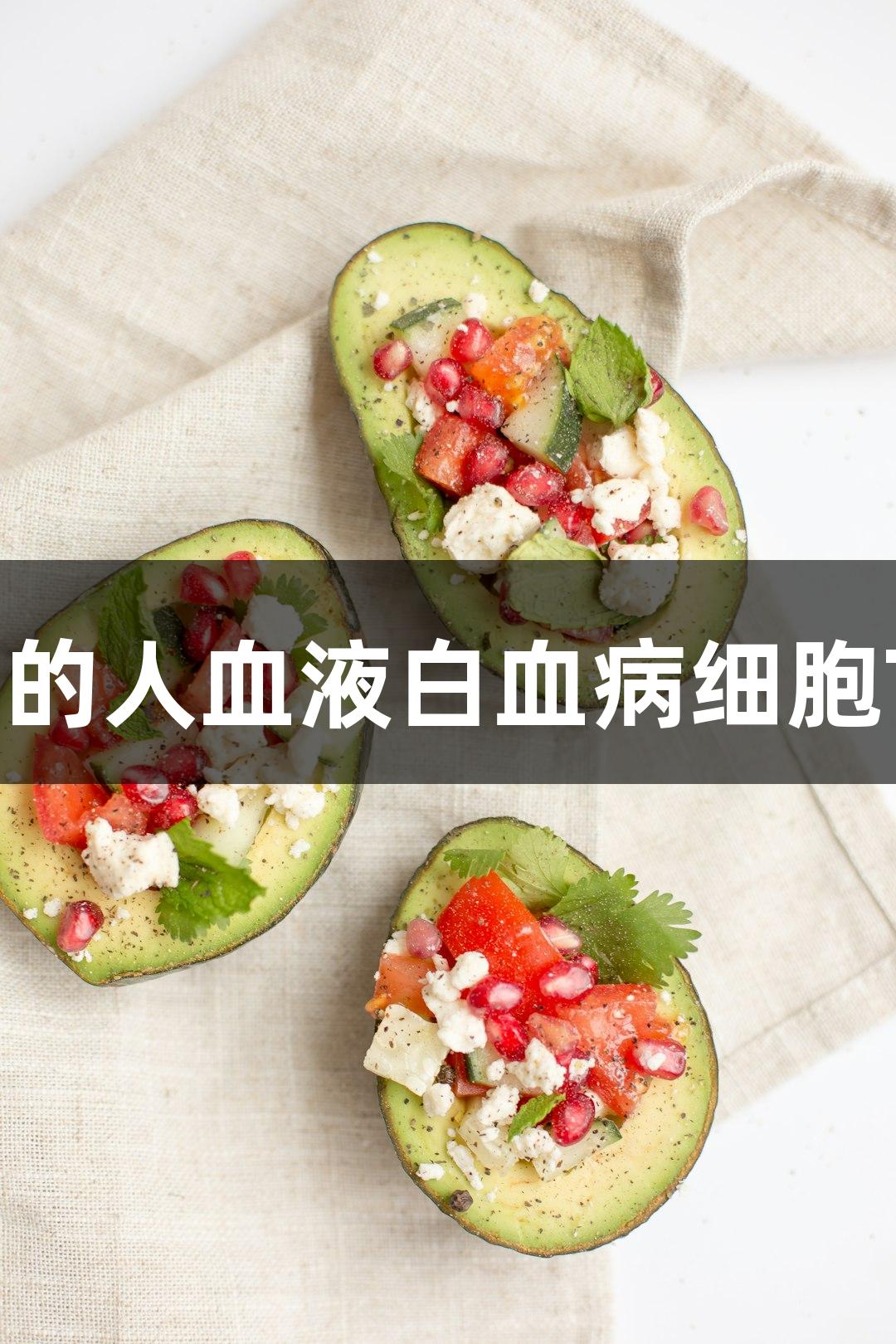 尊龙凯时的人血液白血病细胞TF-1研究