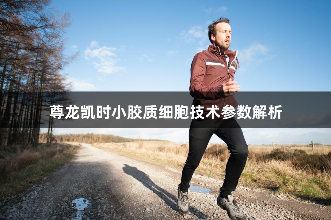 尊龙凯时小胶质细胞技术参数解析