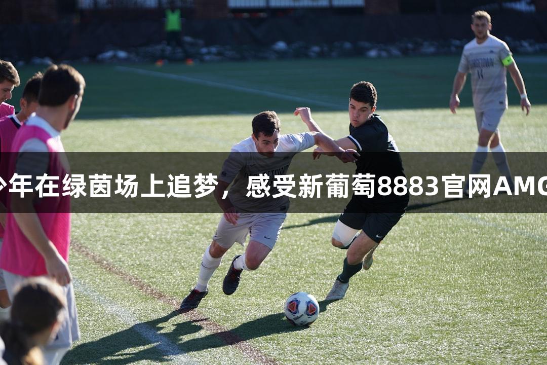 奔跑少年在绿茵场上追梦，感受新葡萄8883官网AMG热浪。