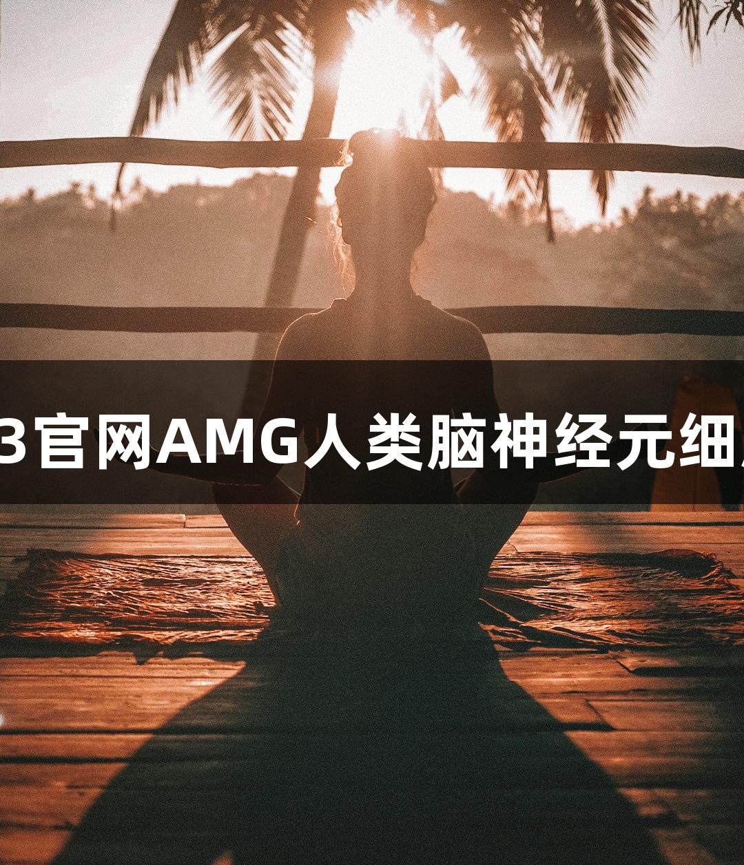 新葡萄8883官网AMG人类脑神经元细胞技术参数