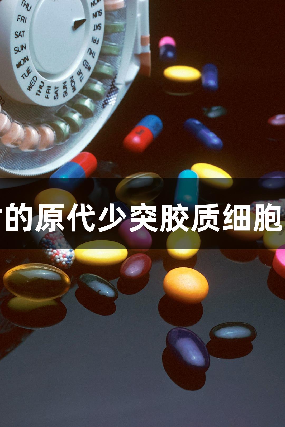 尊龙凯时的原代少突胶质细胞技术参数