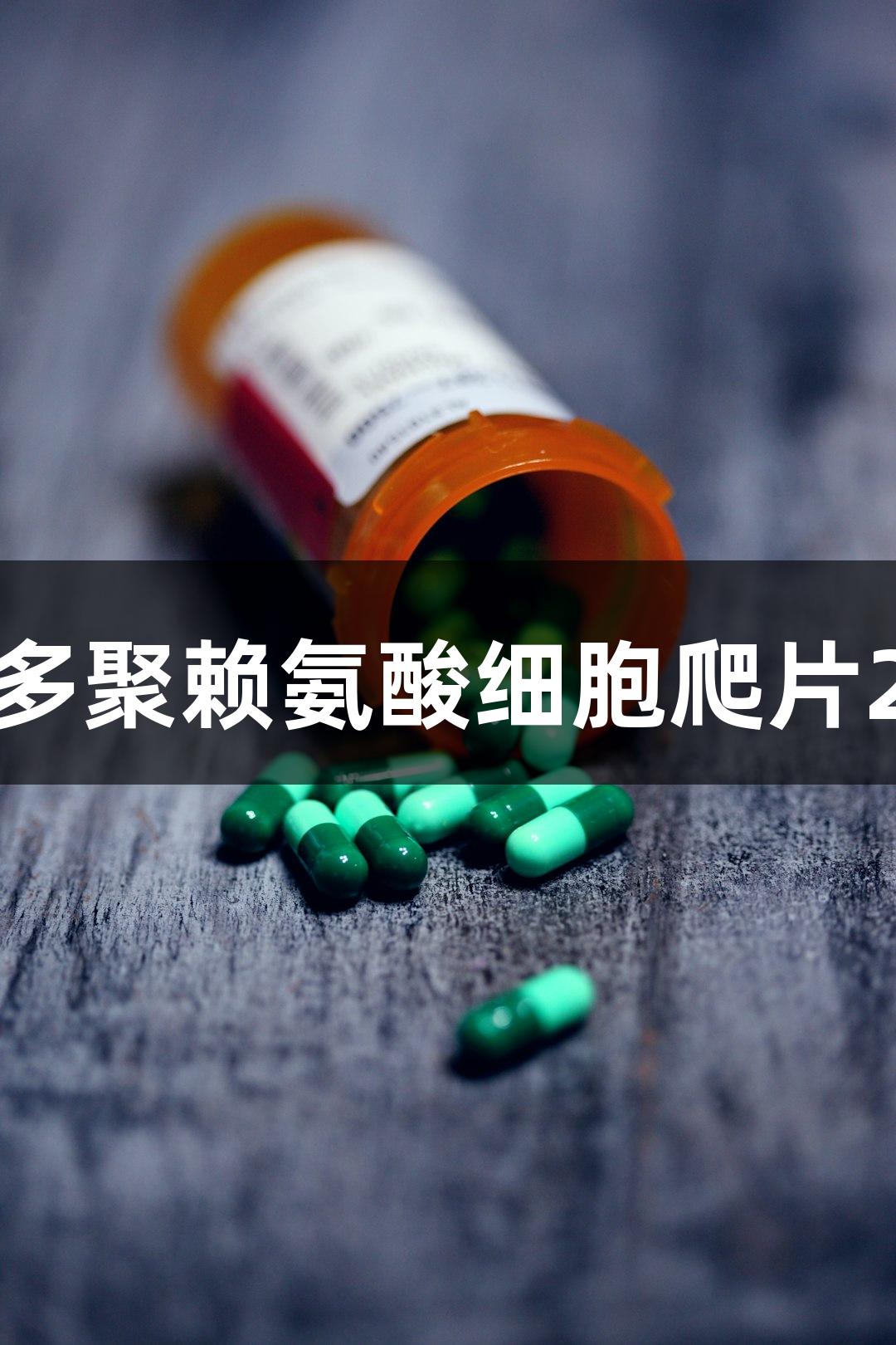 尊龙凯时PLL多聚赖氨酸细胞爬片24孔板14mm