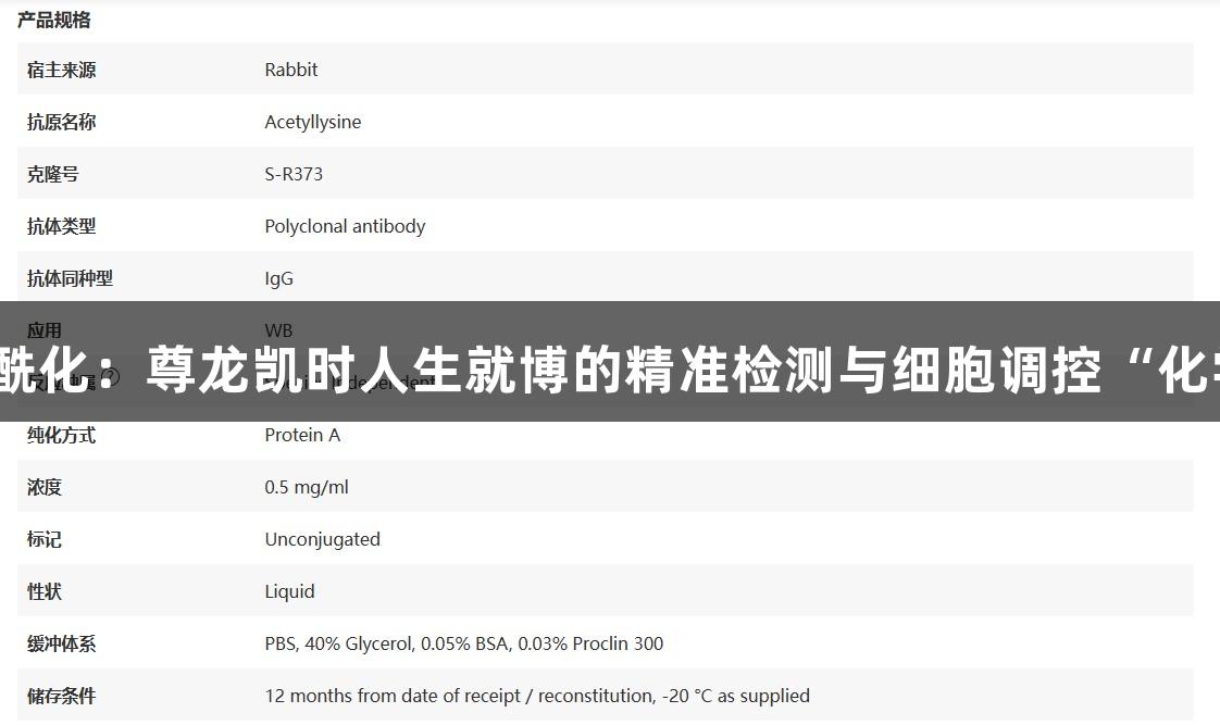 探秘乙酰化：尊龙凯时人生就博的精准检测与细胞调控“化学密码”