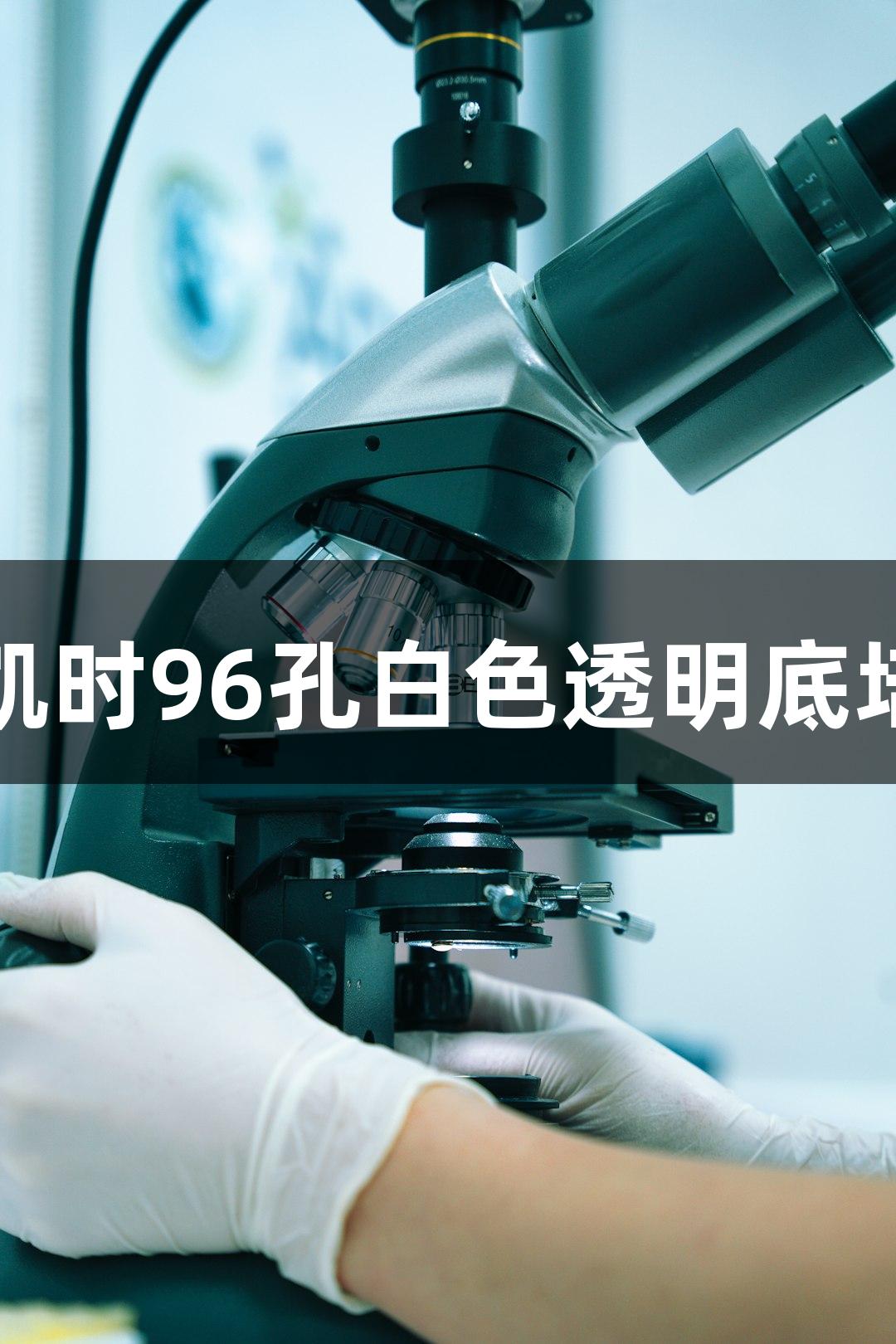 尊龙凯时96孔白色透明底培养板