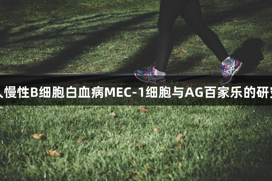 人慢性B细胞白血病MEC-1细胞与AG百家乐的研究
