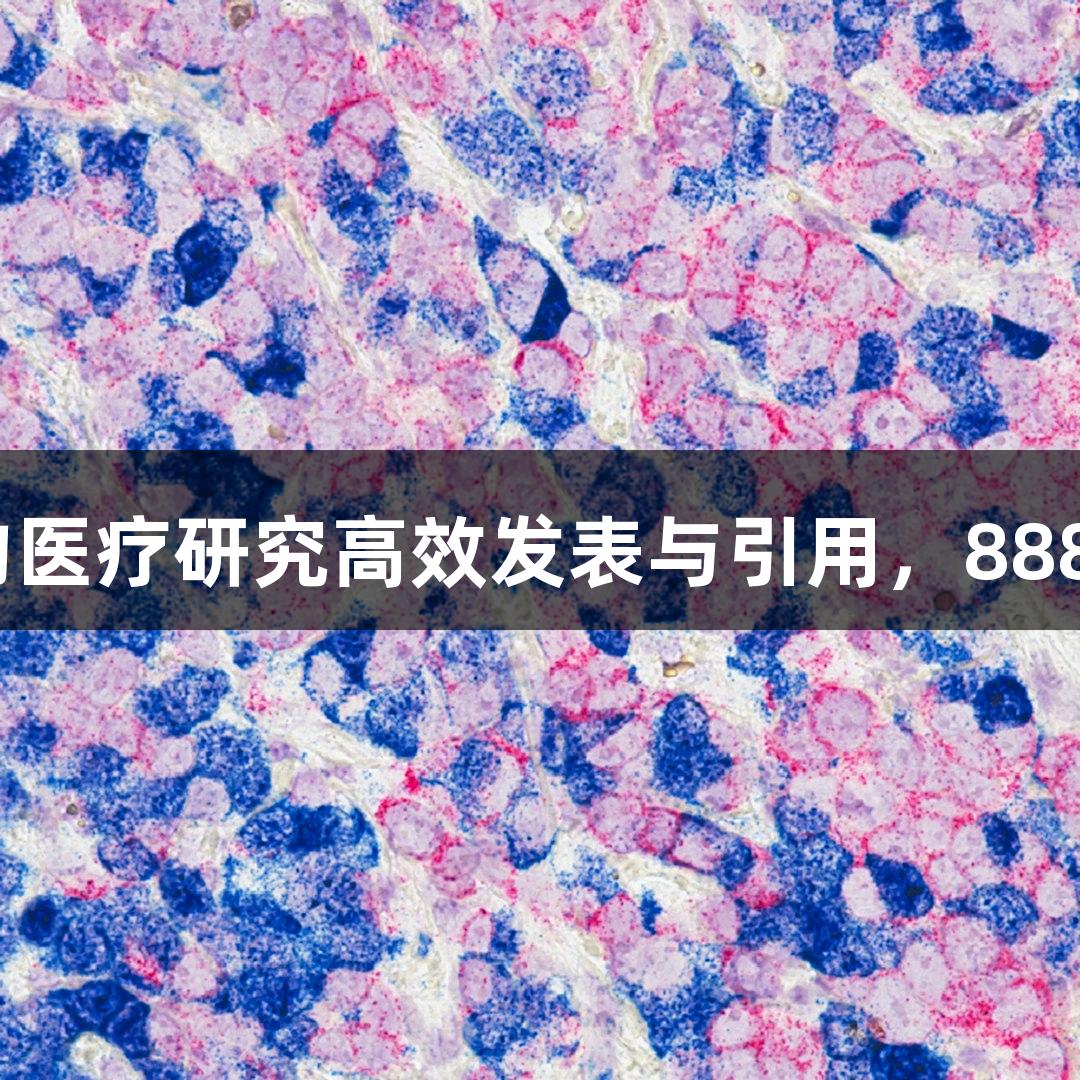 投稿前必看！优化步骤助力生物医疗研究高效发表与引用，88858cc永利官网助您提升成功率！