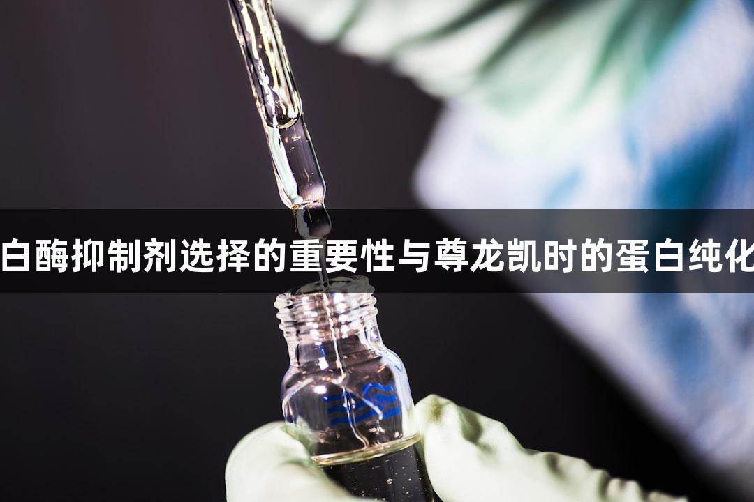 蛋白酶抑制剂选择的重要性与尊龙凯时的蛋白纯化率