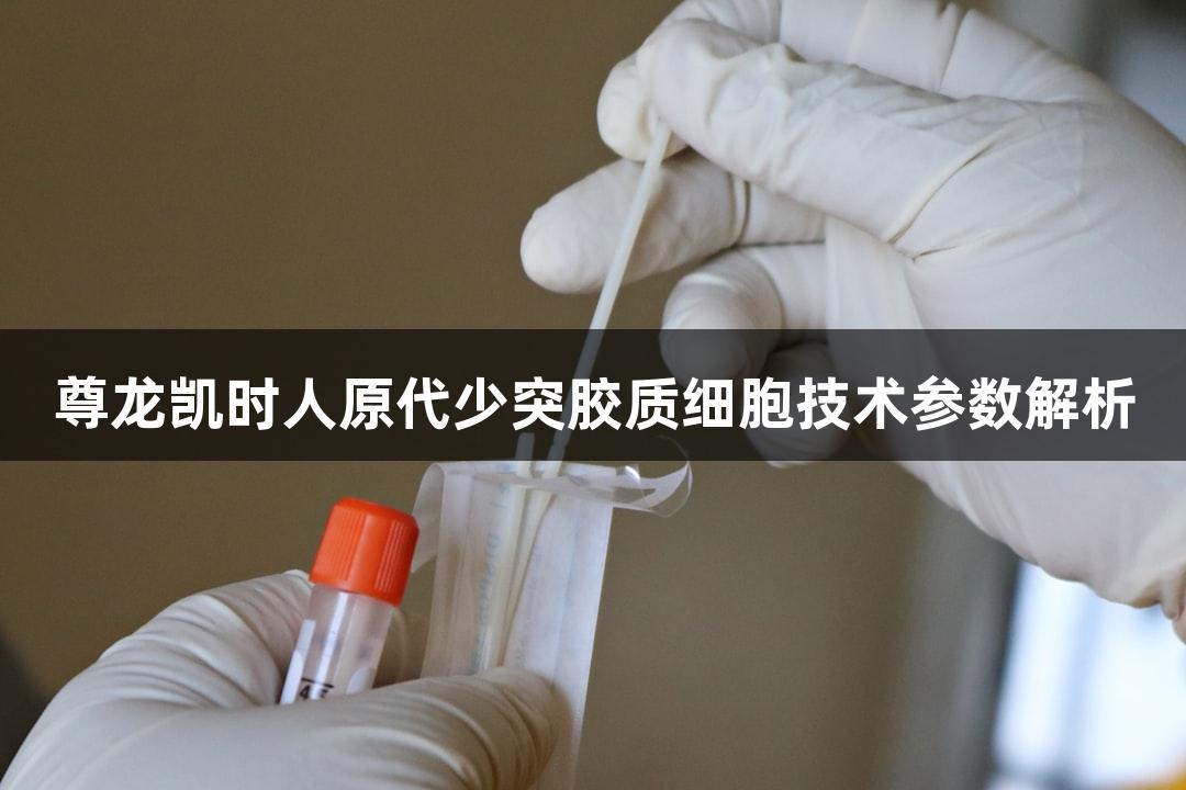 尊龙凯时人原代少突胶质细胞技术参数解析