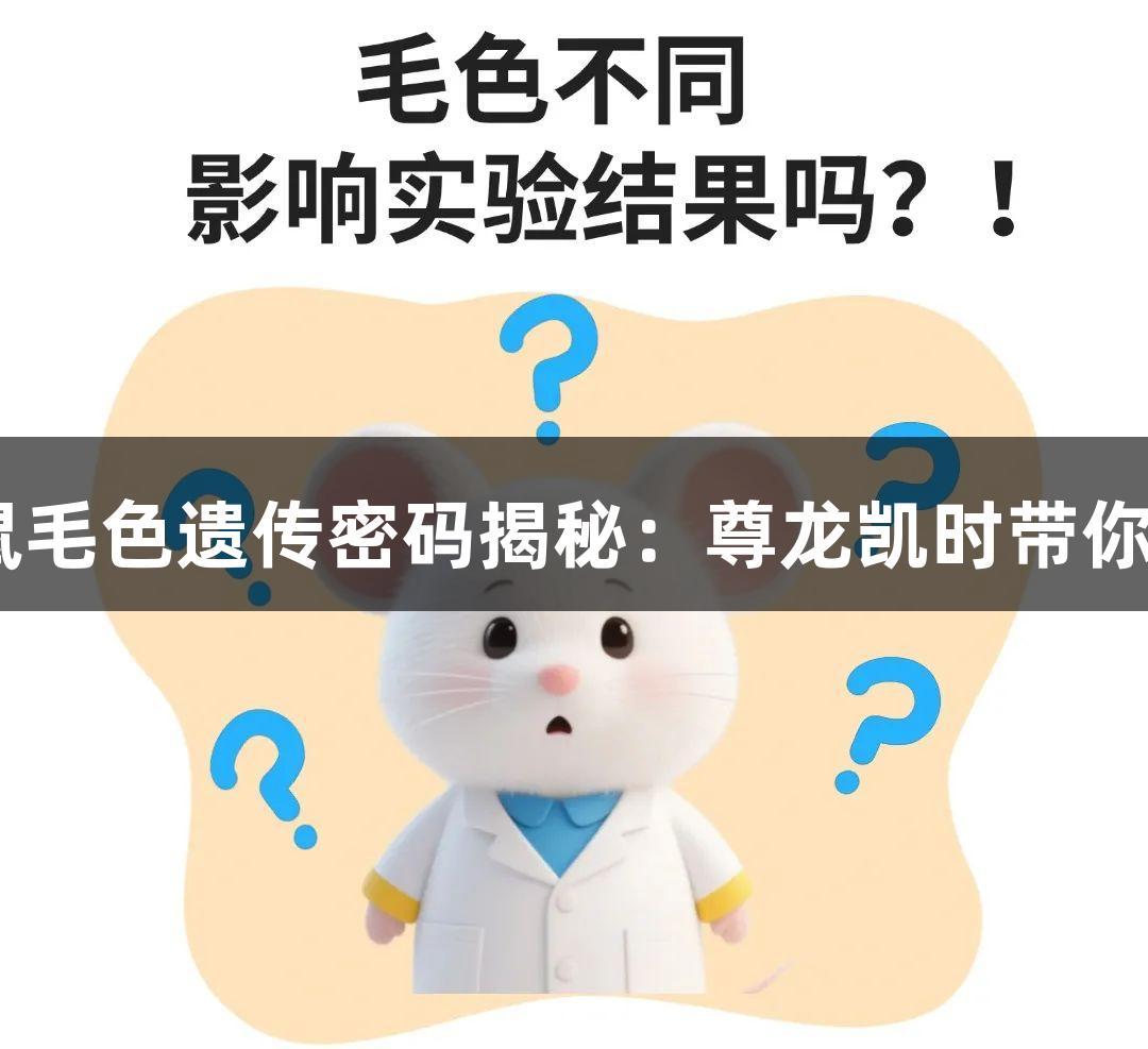 APP/PS1转基因小鼠毛色遗传密码揭秘：尊龙凯时带你探索生物医疗新视野