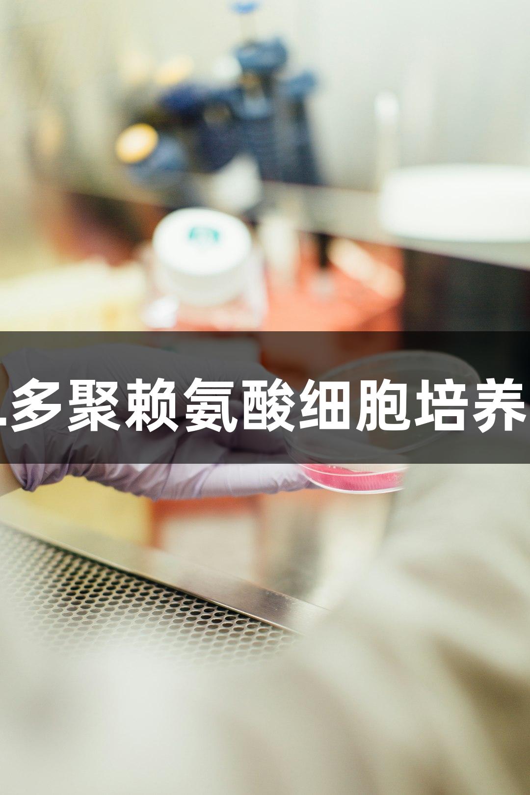 尊龙凯时PLL多聚赖氨酸细胞培养48孔板8mm