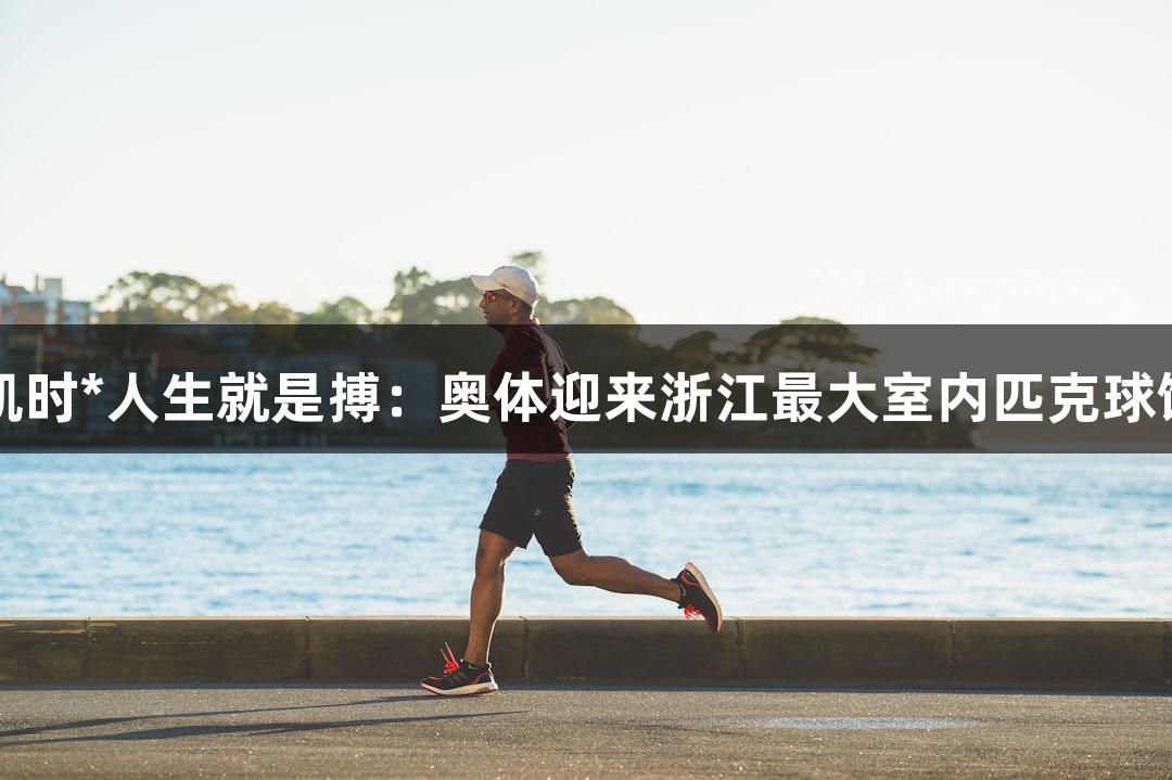 尊龙凯时*人生就是搏：奥体迎来浙江最大室内匹克球馆启用