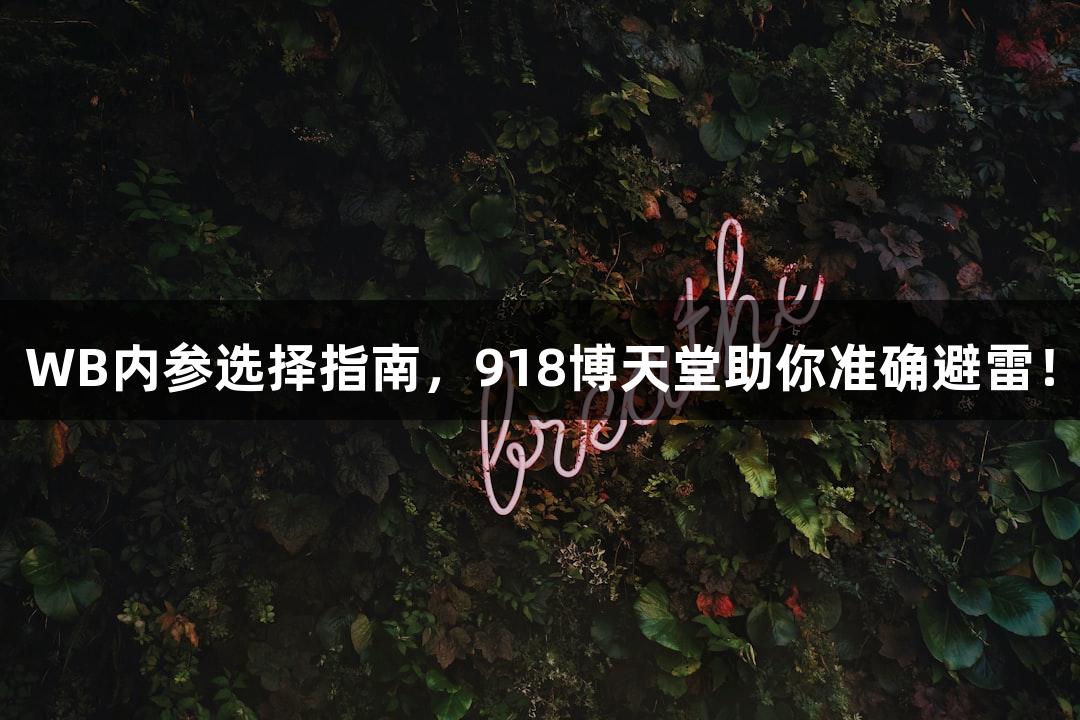 WB内参选择指南，918博天堂助你准确避雷！