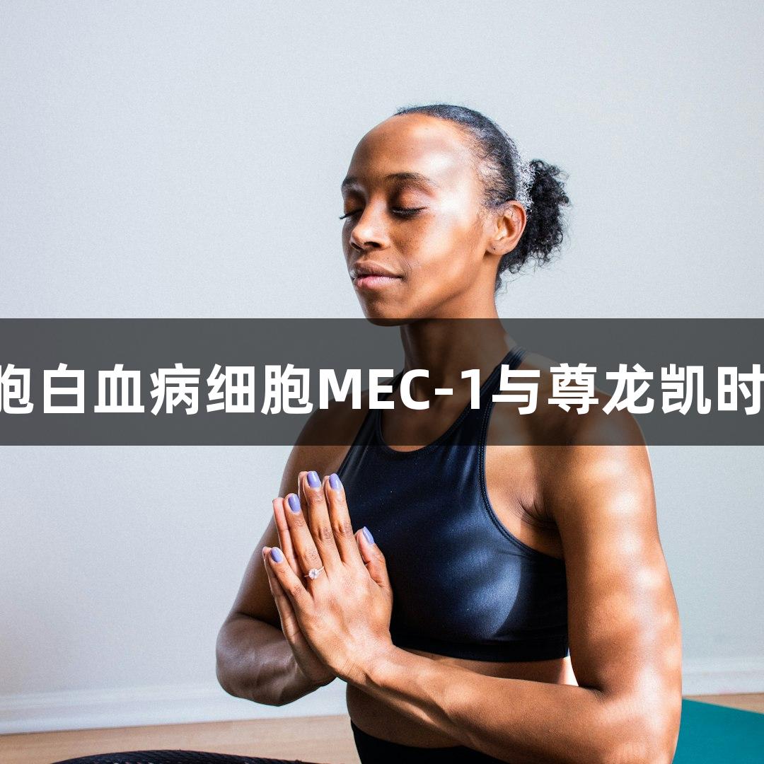 人慢性B细胞白血病细胞MEC-1与尊龙凯时的研究进展