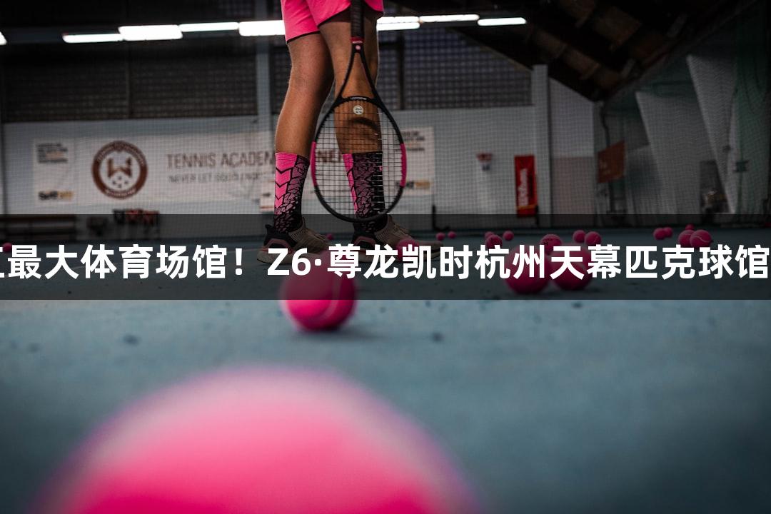 浙江最大体育场馆！Z6·尊龙凯时杭州天幕匹克球馆启用