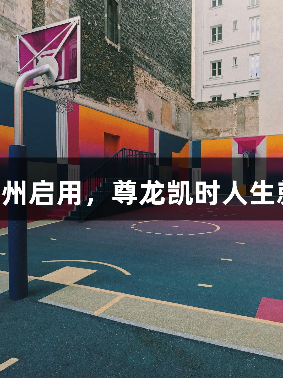 浙江最大匹克球馆在杭州启用，尊龙凯时人生就是搏z6com见证盛况