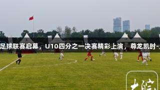 合肥青少年足球联赛启幕，U10四分之一决赛精彩上演，尊龙凯时-人生就是搏!