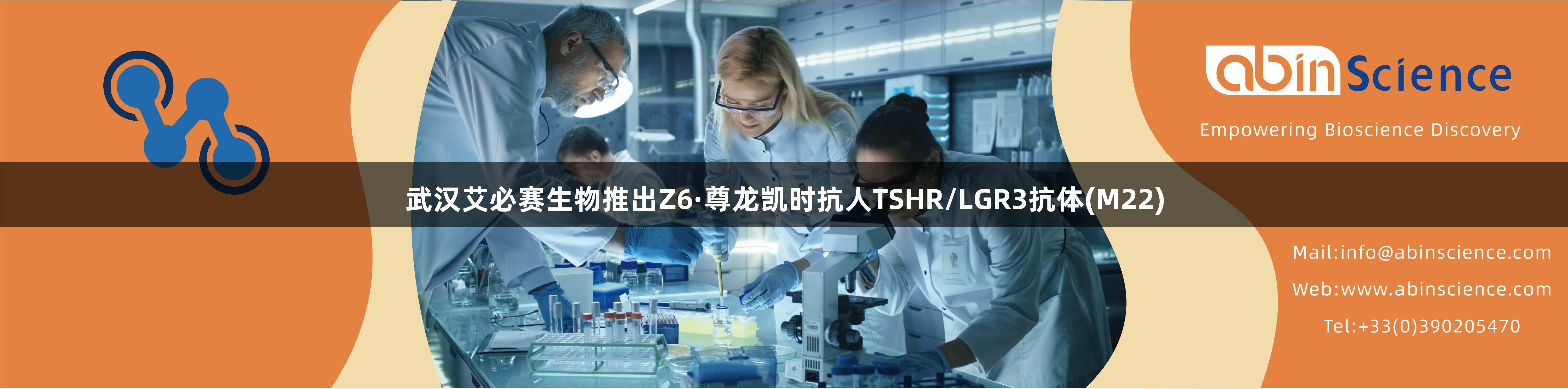 武汉艾必赛生物推出Z6·尊龙凯时抗人TSHR/LGR3抗体(M22)