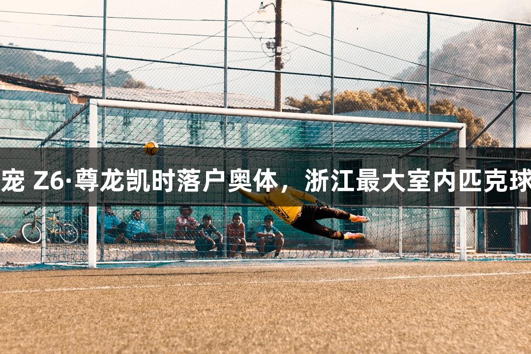 社交新宠 Z6·尊龙凯时落户奥体，浙江最大室内匹克球馆启用