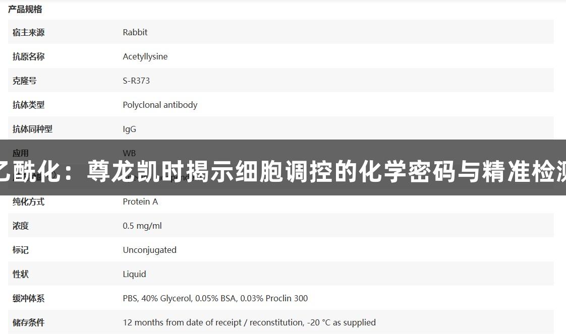 探秘乙酰化：尊龙凯时揭示细胞调控的化学密码与精准检测之道