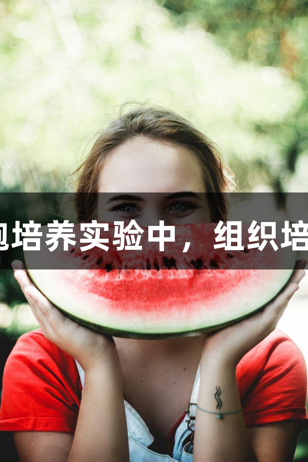 在AG百家乐的细胞培养实验中，组织培养污染如潜伏威胁