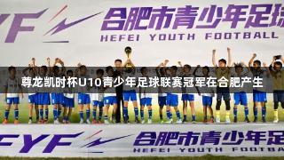 尊龙凯时杯U10青少年足球联赛冠军在合肥产生