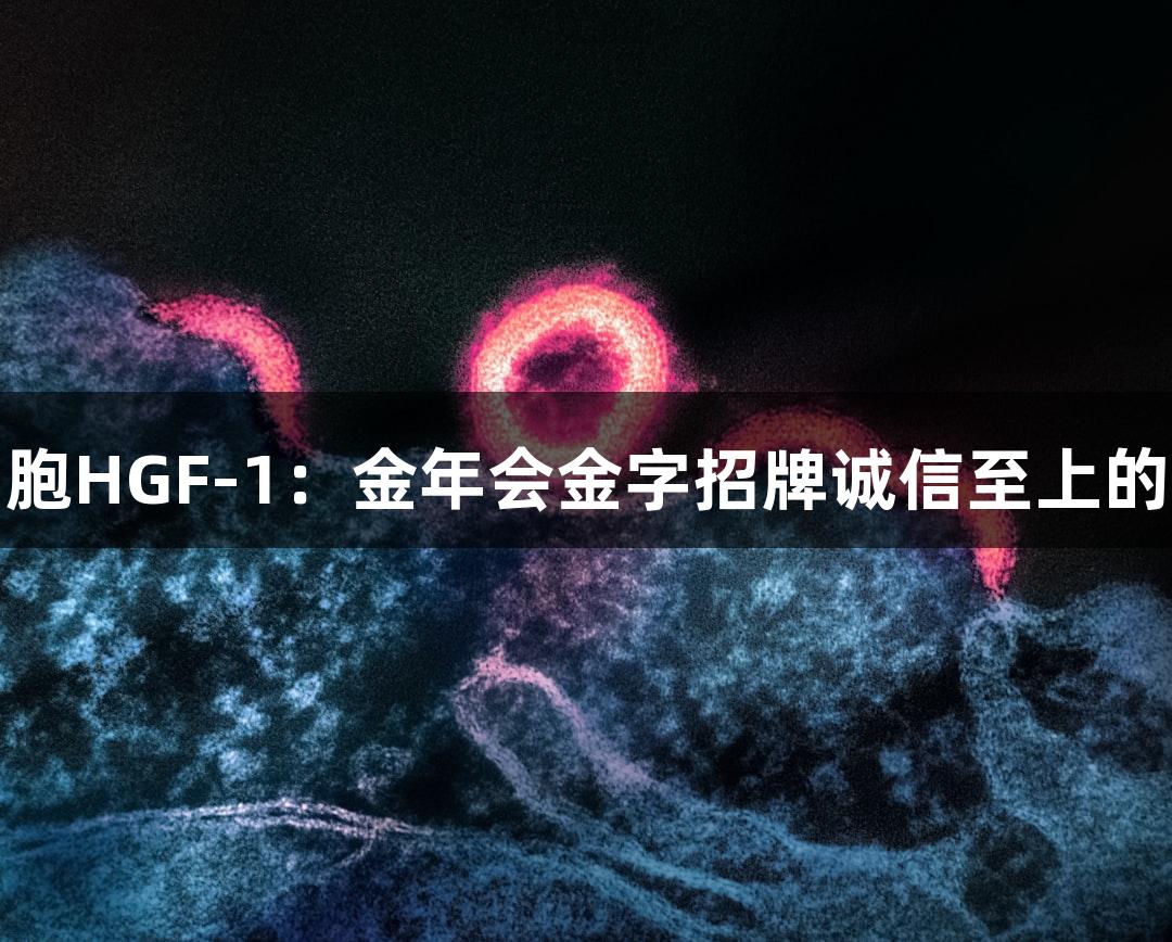 人牙龈成纤维细胞HGF-1：金年会金字招牌诚信至上的生物医疗新进展
