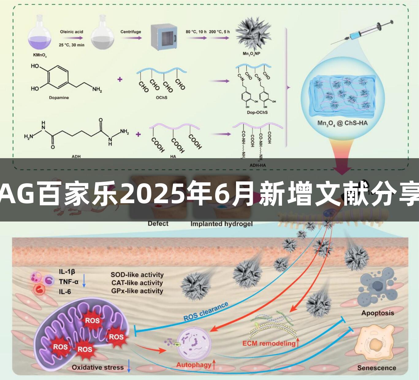 AG百家乐2025年6月新增文献分享