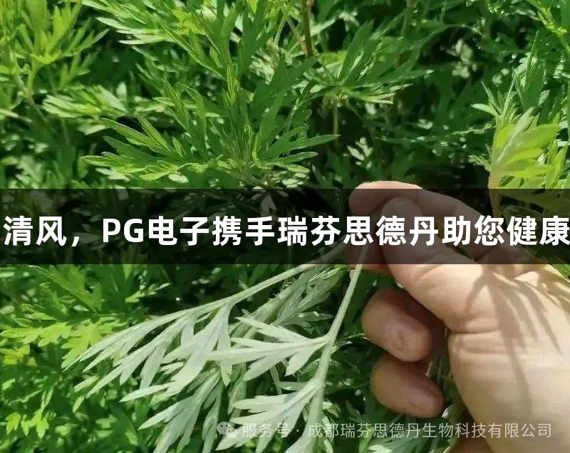 夏日清风，PG电子携手瑞芬思德丹助您健康养生