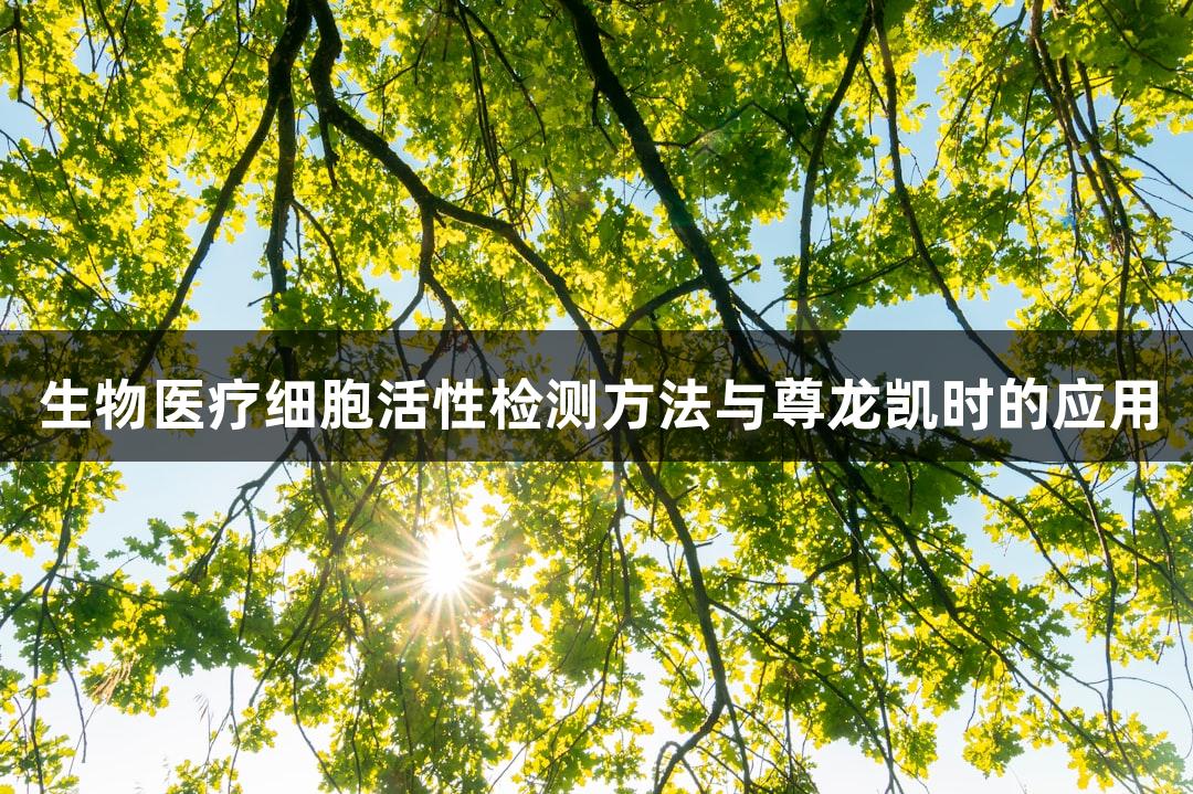 生物医疗细胞活性检测方法与尊龙凯时的应用