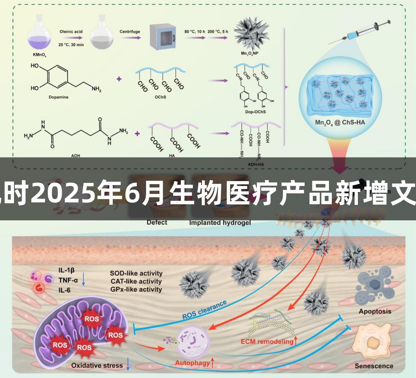 尊龙凯时2025年6月生物医疗产品新增文献分享