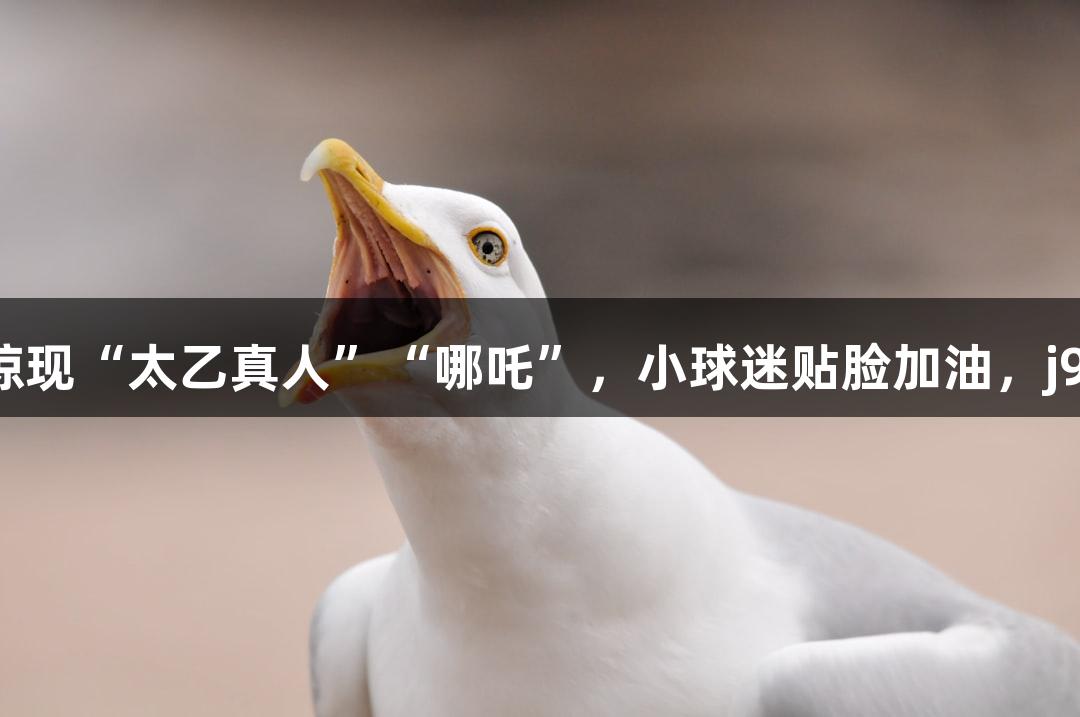 纵览苏超｜淮安主场惊现“太乙真人”“哪吒”，小球迷贴脸加油，j9九游会助力激情赛场！