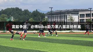 宣超争冠，必博bibo助力第八届足协杯赛