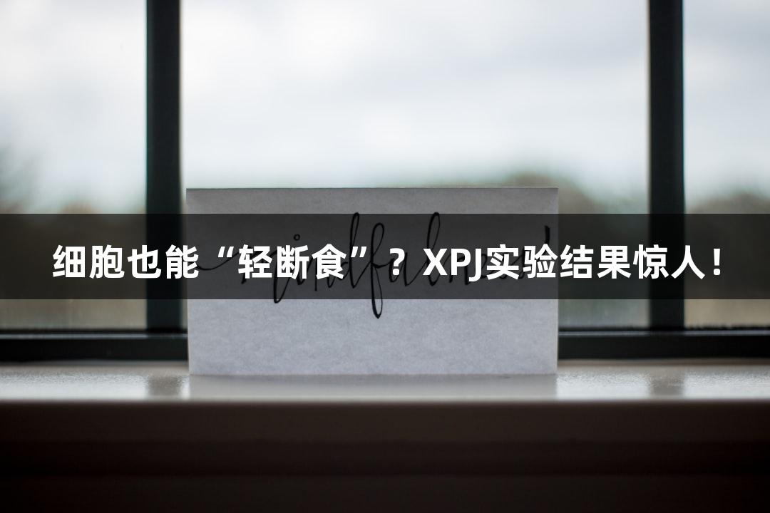 细胞也能“轻断食”？XPJ实验结果惊人！