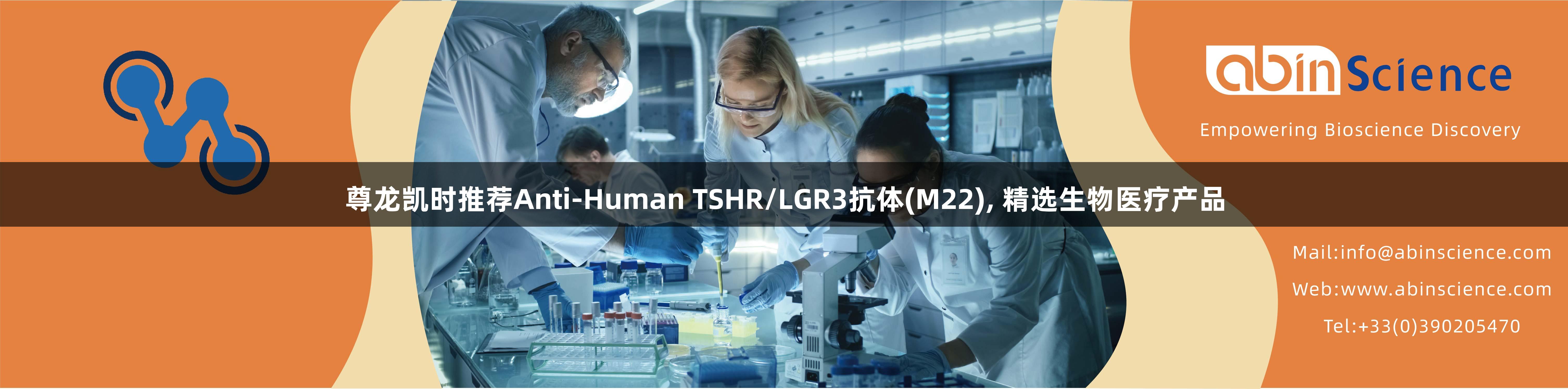 尊龙凯时推荐Anti-Human TSHR/LGR3抗体(M22), 精选生物医疗产品