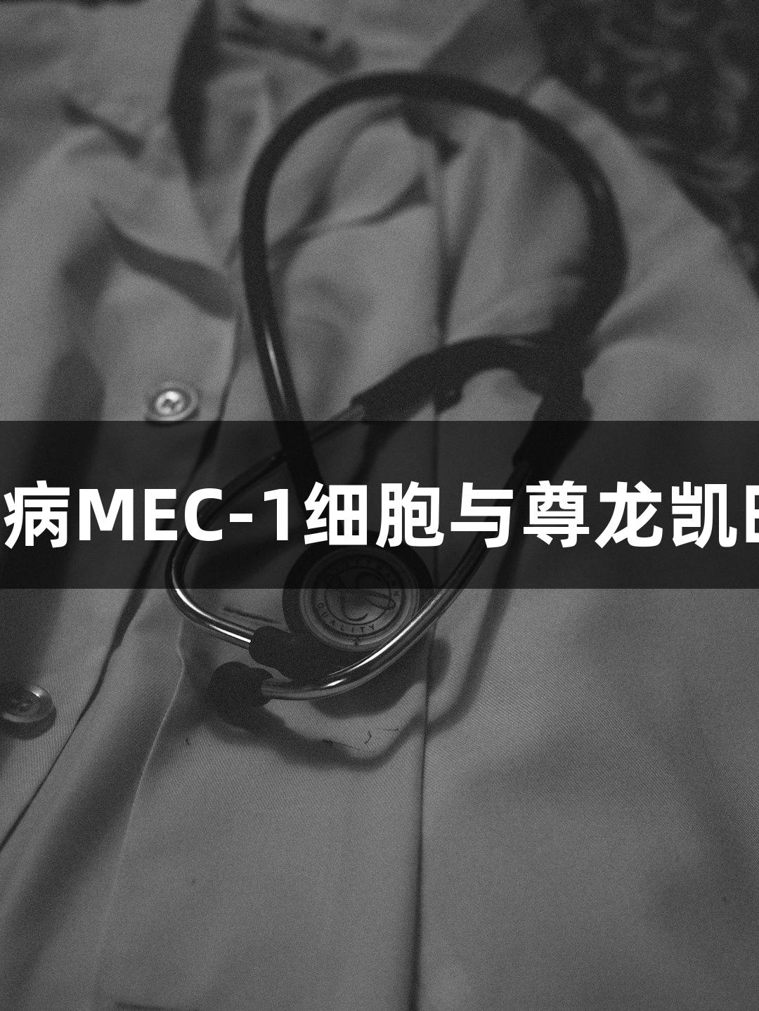人慢性B细胞白血病MEC-1细胞与尊龙凯时生物医疗的研究