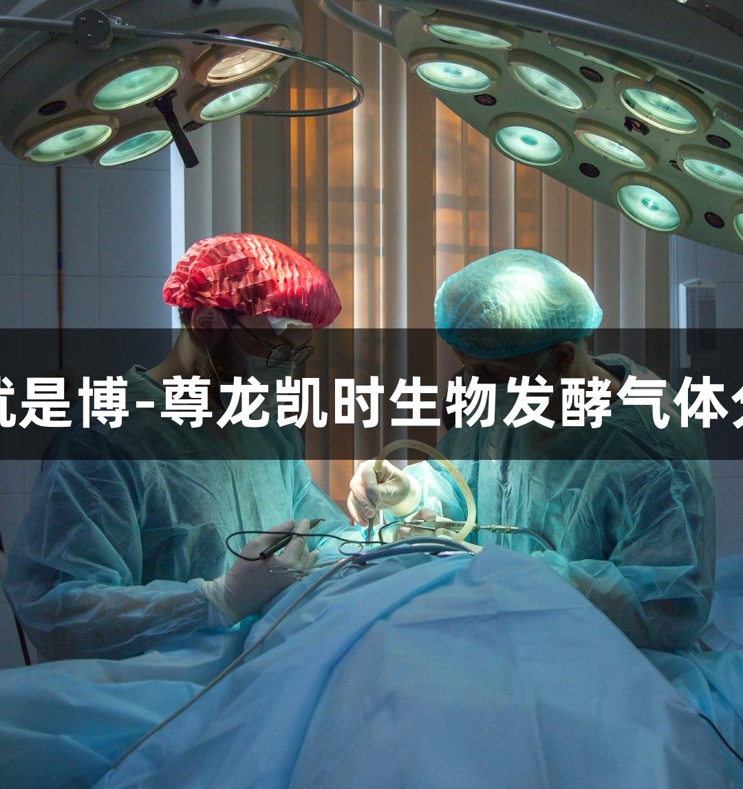 人生就是博-尊龙凯时生物发酵气体分析仪
