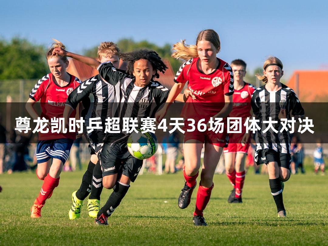 尊龙凯时乒超联赛4天36场团体大对决