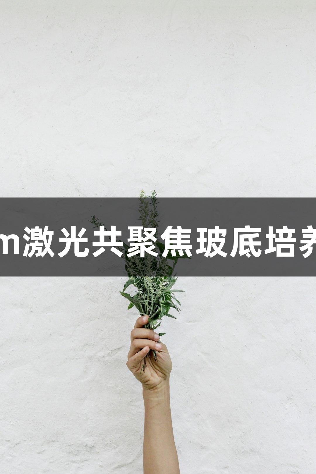 尊龙凯时35mm激光共聚焦玻底培养皿20mm小皿