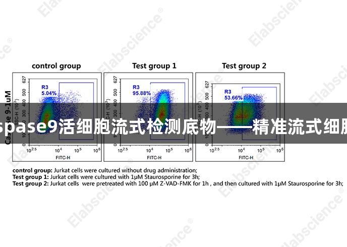 尊龙凯时Caspase9活细胞流式检测底物——精准流式细胞术解决方案