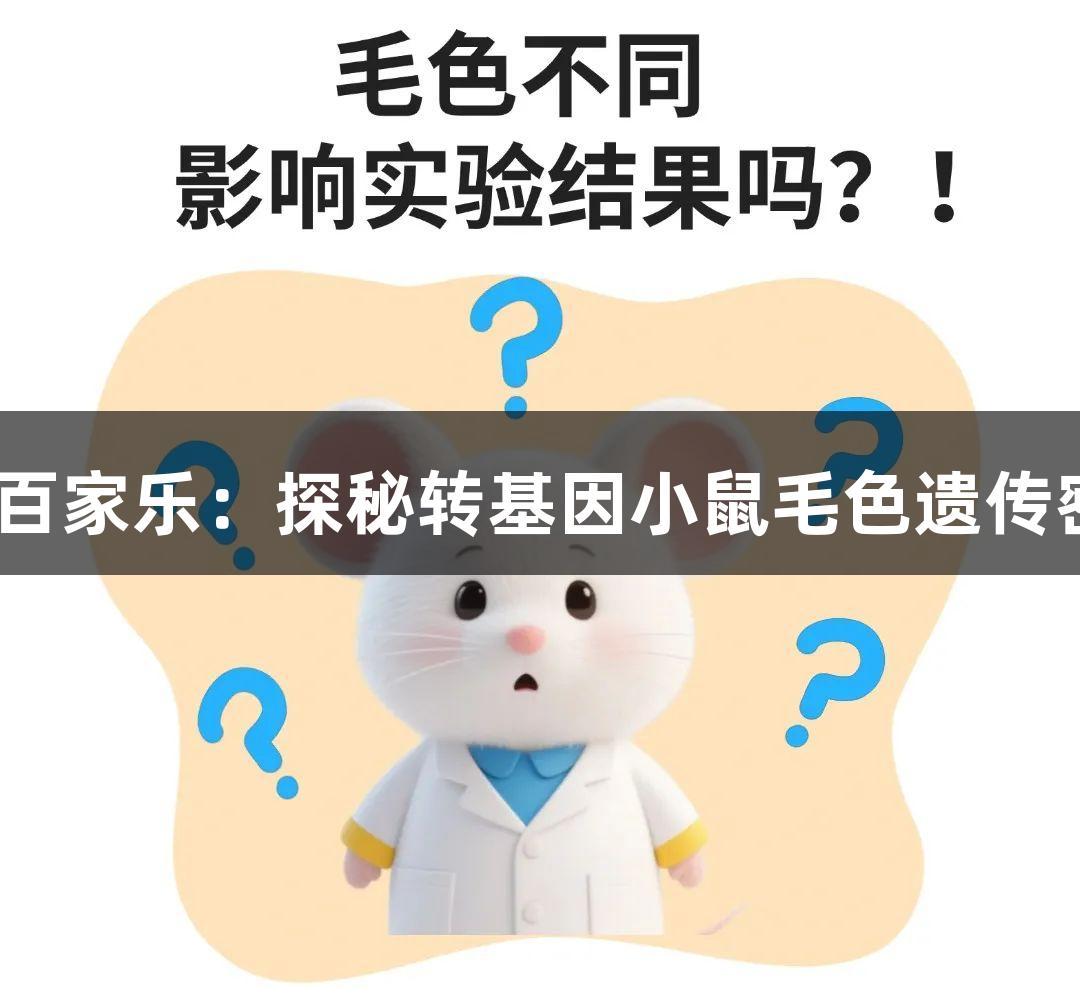 AG百家乐：探秘转基因小鼠毛色遗传密码