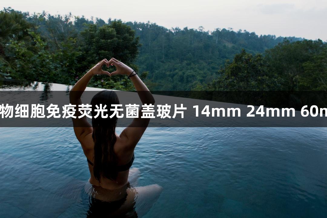 918博天堂生物细胞免疫荧光无菌盖玻片 14mm 24mm 60mm 圆形 方形