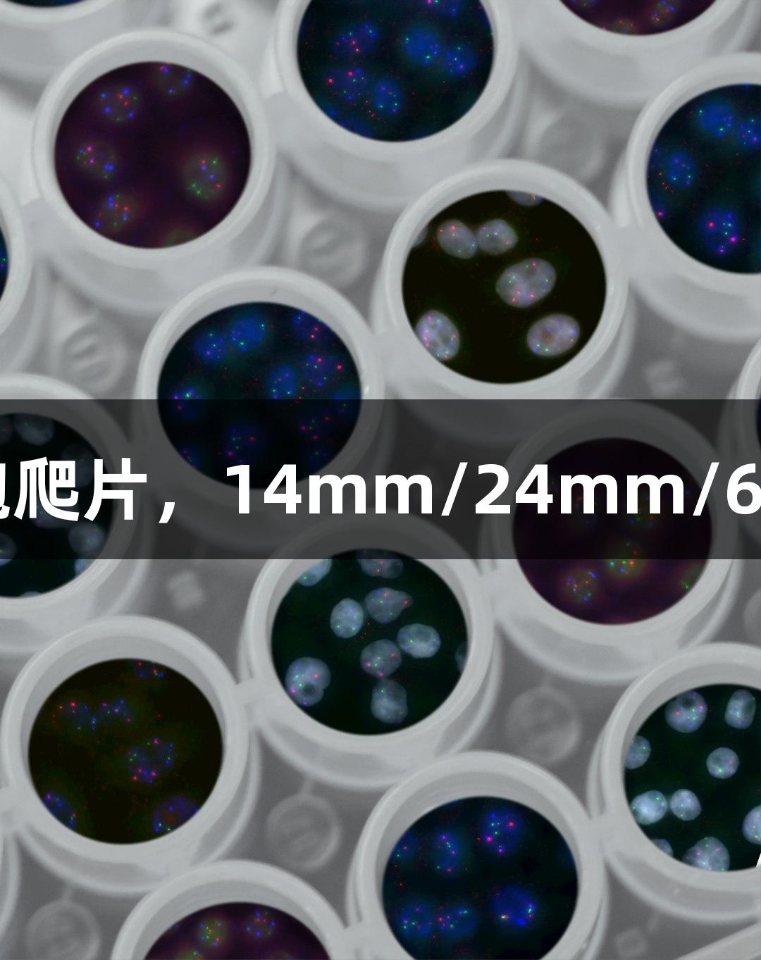 Z6·尊龙凯时免疫荧光细胞爬片，14mm/24mm/60mm圆形方形无菌盖玻片